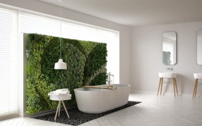 Cómo integrar un jardín vertical en tu hogar